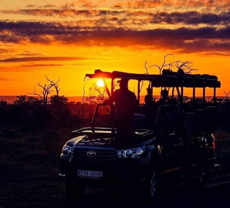 Wildlife Safairs at Grace of Africa