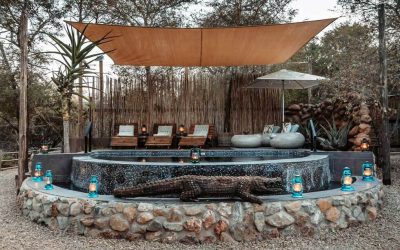 Luxury Lodges in Kruger National Park – A Journey from South to North