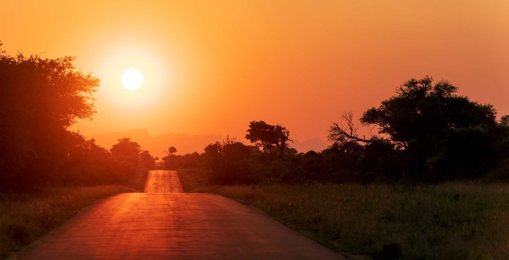 Signature Safari Experiences in Kruger National Park