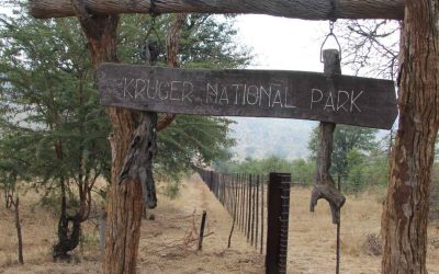 Kruger Park Accommodation Rates – How South Africans Can Book Luxury for Less